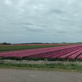 006 Koningsdag